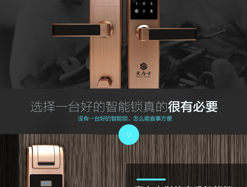 豪力士智能鎖廠(chǎng)家-新品D8202F上市