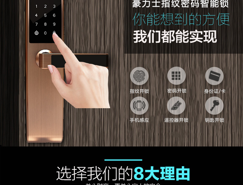 豪力士智能鎖廠(chǎng)家-新品D8202F上市
